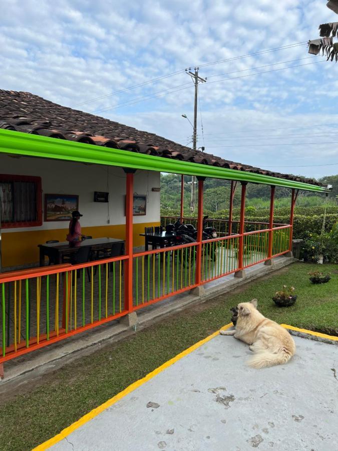 Alojamiento Campestre Hawaii Montenegro Kültér fotó